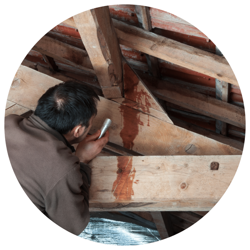 A man inspecting the interior of a leaking roof