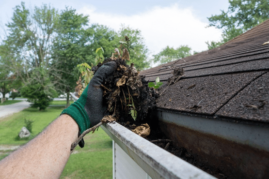 clean gutters roof maintenance metairie & new orleans